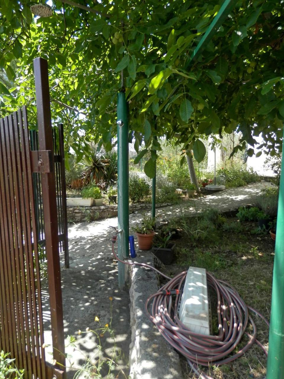 Apartments Zivana Rogoznica  Kültér fotó